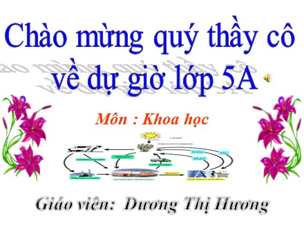 Bài giảng Khoa học Lớp 5 - Bài 14: Đá vôi, xi măng - Năm học 2020-2021 - Dương Thị Hương