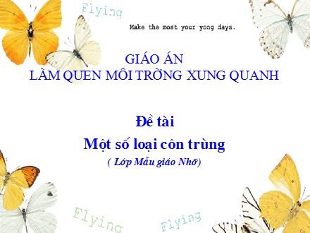 Bài giảng Lớp Mẫu giáo nhỡ - Làm quen môi trường xung quanh - Đề tài: Một số loại côn trùng