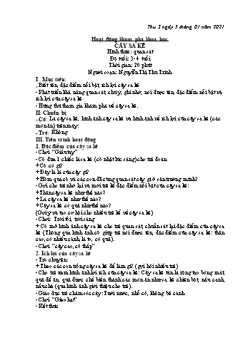 Giáo án Hoạt động khám phá khoa học Lớp Mầm - Đề tài: Cây sa kê - Năm học 2020-2021 - Nguyễn Thị Thu Trinh