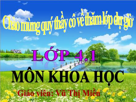 Bài giảng Khoa học Lớp 4 - Bài 40: Bảo vệ bầu không khí trong sạch - Năm học 2021-2022 - Vũ Thị Miền