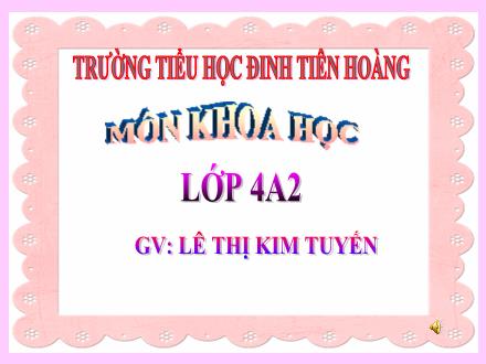 Bài giảng Khoa học Lớp 4 - Bài 47: Ánh sáng cần cho sự sống - Năm học 2016-2017 - Lê Thị Kim Tuyến