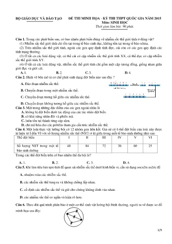 Đề thi minh họa THPT quốc gia năm 2015 môn Sinh học (Có đáp án)
