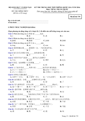 Đề thi THPT quốc gia năm 2016 môn Tiếng Trung quốc - Mã đề 739 (Kèm đáp án)