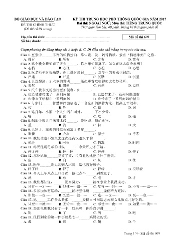 Đề thi THPT quốc gia năm 2017 môn Tiếng Trung quốc - Mã đề 609 (Kèm đáp án)