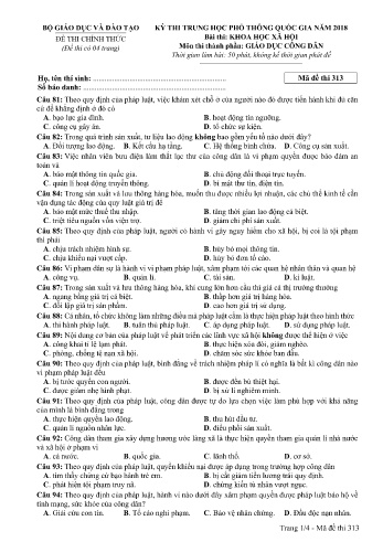 Đề thi THPT quốc gia năm 2018 môn Giáo dục công dân - Mã đề 313 (Kèm đáp án)