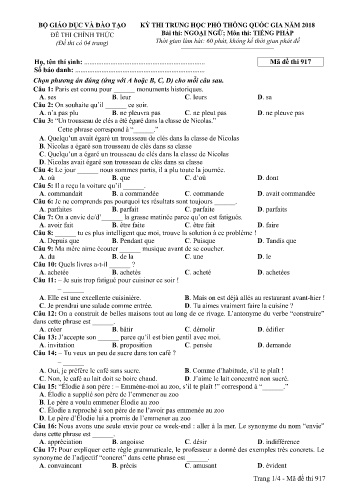 Đề thi THPT quốc gia năm 2018 môn Tiếng Pháp - Mã đề 917 (Kèm đáp án)