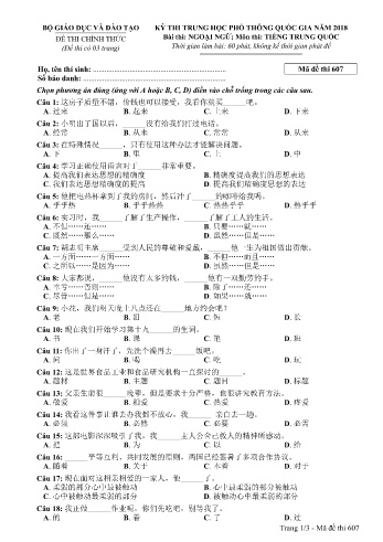 Đề thi THPT quốc gia năm 2018 môn Tiếng Trung quốc - Mã đề 607 (Kèm đáp án)