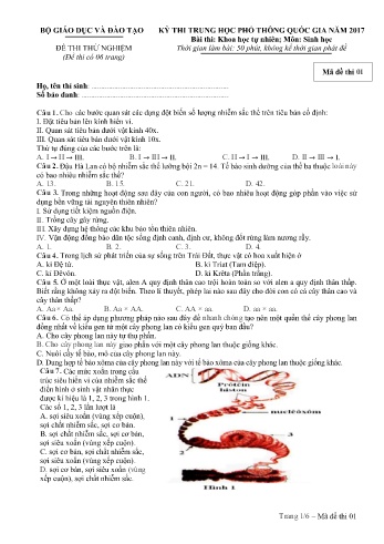 Đề thi thử nghiệm môn Sinh học - Kỳ thi THPT quốc gia năm 2017 (Mã đề 01)