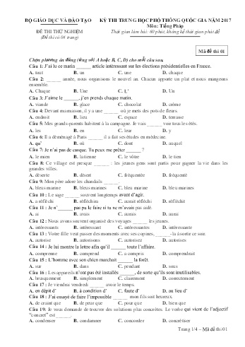 Đề thi thử nghiệm môn Tiếng Pháp - Kỳ thi THPT quốc gia năm 2017 (Mã đề 01)