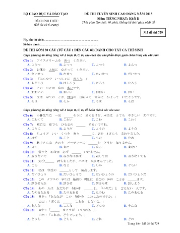 Đề thi tuyển sinh cao đẳng năm 2013 môn Tiếng Nhật Khối D - Mã đề 729 (Kèm đáp án)
