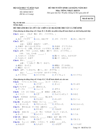 Đề thi tuyển sinh cao đẳng năm 2013 môn Tiếng Nhật Khối D - Mã đề 526 (Kèm đáp án)