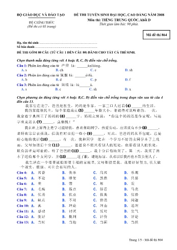 Đề thi tuyển sinh đại học, cao đẳng năm 2008 môn Tiếng Trung quốc Khối D - Mã đề 864 (Kèm đáp án)