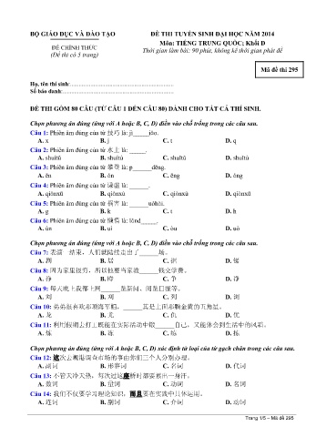 Đề thi tuyển sinh đại học năm 2014 môn Tiếng Trung quốc Khối D - Mã đề 295 (Kèm đáp án)